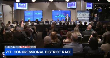 Illinois election results: Democratic Illinois' 7th Congressional District candidates face crowded Illinois primary election 2026