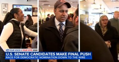 Illinois primary Election Day 2026: Raja Krishnamoorthi, Juliana Stratton, Robin Kelly push for support in tight US Senate race