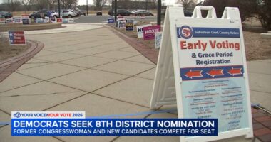 Illinois primary election 2026: Democratic candidates vie for 8th Congressional District rep. seat held by Raja Krishnamoorthi