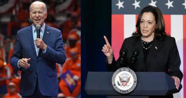 'I'm going to bury them': Man who vowed to 'brutally murder' Biden and Harris learns his fate