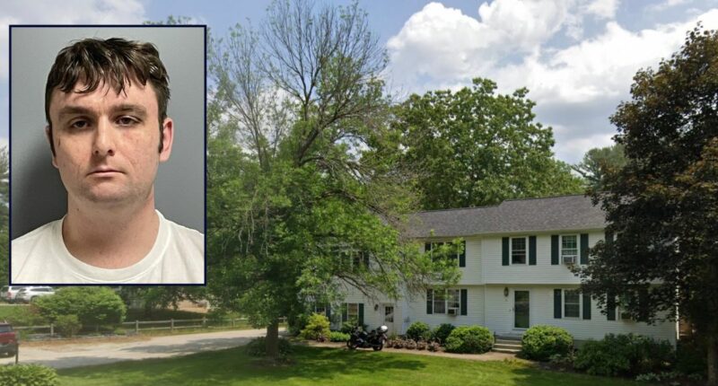 'I'm going to end this tonight': Man nearly killed sister and friend after they walked in on him 'spraying Febreze around the house,' police say