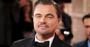 I'm the reason Leonardo DiCaprio became a recluse, says JOEL STEIN