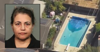 'Inattention and incompetence': Jurors waste no time convicting woman who let toddlers drown at her unlicensed day care 