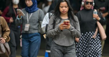 Indonesia bans YouTube, TikTok, Facebook, Instagram for children under 16 in âaddictive algorithmsâ crackdown