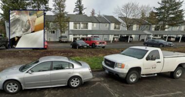 Infant found at home with dead mouse in his mouth and was rushed to the ER by 'livid' father who wants landlord to pay up: Lawsuit