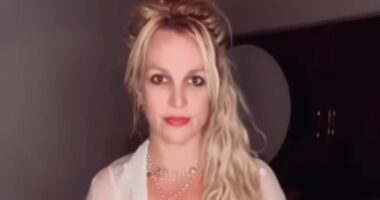 Inside Britney Spears' secret split from ex-felon before DUI arrest