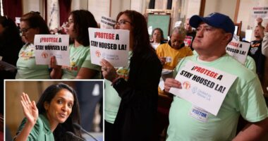 Inside the 90 minute city hall lockup before LA approved $177M for activist groups