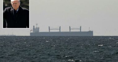 Iran says Strait of Hormuz open to all but 'enemy-linked' ships after Trump's 48-hour threat