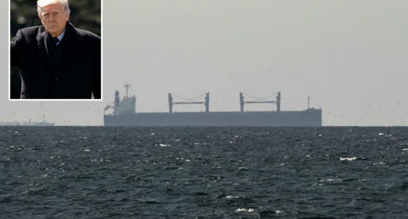 Iran says Strait of Hormuz open to all but 'enemy-linked' ships after Trump's 48-hour threat