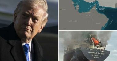 Iran says 'non-hostile' ships can pass through Strait of Hormuz â as Trump teases major 'prize'
