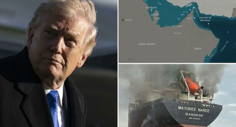 Iran says 'non-hostile' ships can pass through Strait of Hormuz â as Trump teases major 'prize'