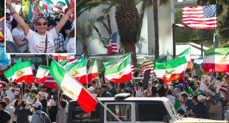 Iranian-Americans celebrate in streets of LA
