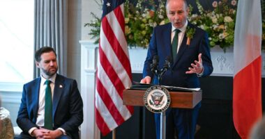 Irish prime minister addresses how Europe feels about US-Iran conflict