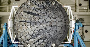 Is NASA's Artemis II safe? Scientists raise concerns about heat shield