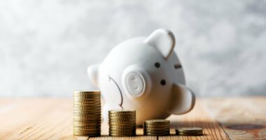 Isa investors holding cash could face 'stealth' charges when new £12,000 annual limit is imposed on under-65s