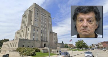 'I've got nothing to lose': Man allegedly threatens judge over printouts of his court cases, says he might as well 'pick up a homicide'