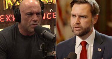 JD Vance fires back at Joe Rogan for blasting MAGA supporters as 'unintelligent dorks'