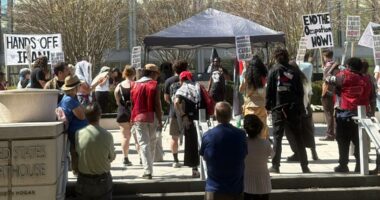 Jacksonville activists rally against US-Israeli military actions in Iran