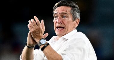 Japan coach's bizarre 'honey and s***' rant ahead of Asian Cup final against the Matildas