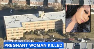 'Jealous rage': Man killed pregnant 18-year-old girlfriend during fight about cheating, police say