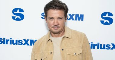 Jeremy Renner sued over romance scam, he slams 'ridiculous' lawsuit