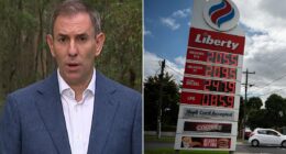 Jim Chalmers' bleak cost-of-living admission