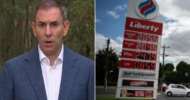 Jim Chalmers' bleak cost-of-living admission