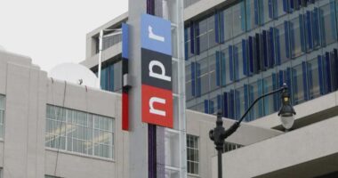 Judge blocks Trump effort to end funding for NPR and PBS