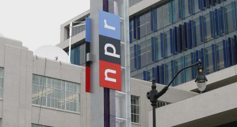 Judge blocks Trump effort to end funding for NPR and PBS