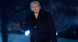 Judge calls out Trump admin for 'violent criminal' rhetoric in ruling granting student's release from detention, skirts 5th Circuit ruling allowing ICE to indefinitely detain immigrants