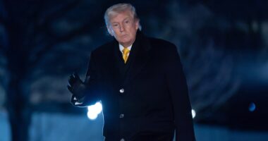 Judge calls out Trump admin for 'violent criminal' rhetoric in ruling granting student's release from detention, skirts 5th Circuit ruling allowing ICE to indefinitely detain immigrants