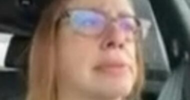 Judge fumes at woman who was 'driving during online court hearing'