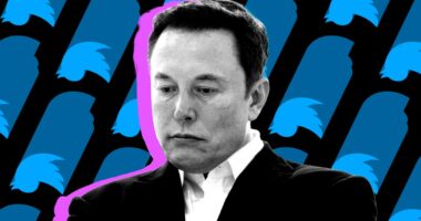 Jury finds Elon Musk’s ‘stupid tweets’ caused Twitter investors’ losses