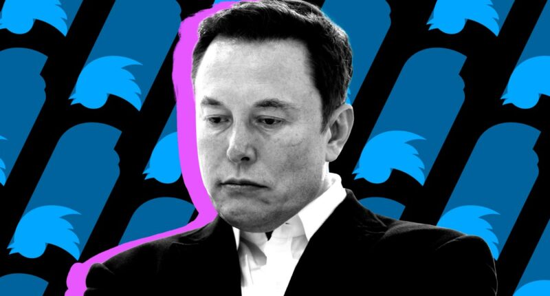 Jury finds Elon Musk’s ‘stupid tweets’ caused Twitter investors’ losses