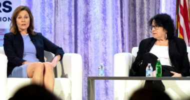 Justice Sotomayor warns conservative justices just gave cops 'license to inflict gratuitous pain' when 'there is no threat' or a 'reason'