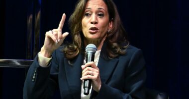 Kamala Harris mocked over text touting Deep South political tour