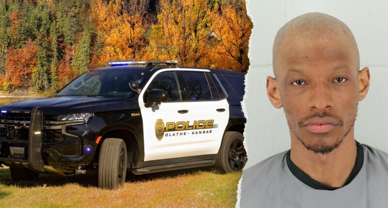 Kansas man charged in unprovoked park stabbing that left woman critically injured