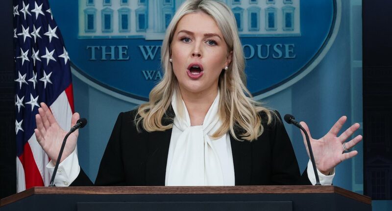 Karoline Leavitt clashes with CNN's Kaitlan Collins