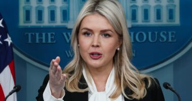 Karoline Leavitt sets the record straight about why Trump went to war as critics fume at Israel