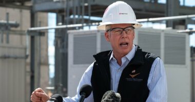 Karoline Leavitt throws Trump's energy secretary under the bus after his now-deleted Strait of Hormuz X post sent markets wild