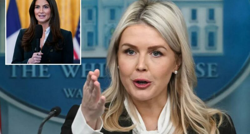 Karoline Leavitt unloads on Kaitlan Collins, says CNN wants 'to make the president look bad' with 6 service members killed in Iran war
