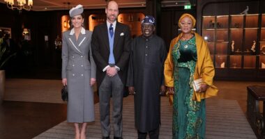 Kate channels Diana during Nigerian state visit: Princess wears her late mother-in-law's pearl drop earrings and chic coat that could have come straight from her wardrobe