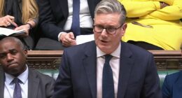 Keir Starmer faces wrath of Labour Left and Greens over Iran strikes