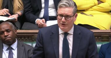 Keir Starmer faces wrath of Labour Left and Greens over Iran strikes
