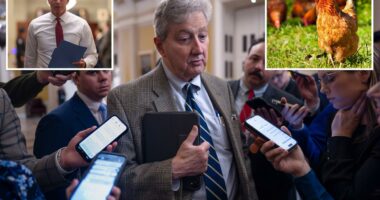 Kennedy urges GOP 'free-range chickens' to pass SAVE Act