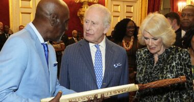 King Charles meets dignitaries from around the Commonwealth
