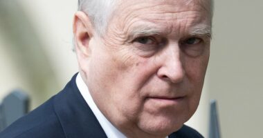 King likely to discuss Andrew line of succession removal with leaders