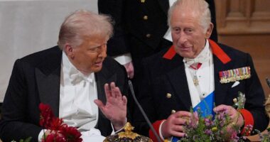 King's visit to US set to go ahead next month despite Donald Trump row