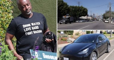 LA City Council chief stunning hypocrisy exposed