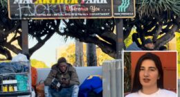 LA activists tied to $177M in city contracts are trying to install a DSA city attorney